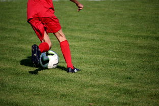 开云体育app注册-校园足球教练培训体系现状与改革思路，校园足球师资培训